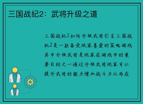 三国战纪2：武将升级之道
